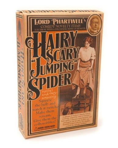Hairy Scary Jumping Spider
