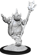 D&D Minis: W14 Marid