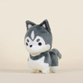 Mini Huski the Siberian Husky