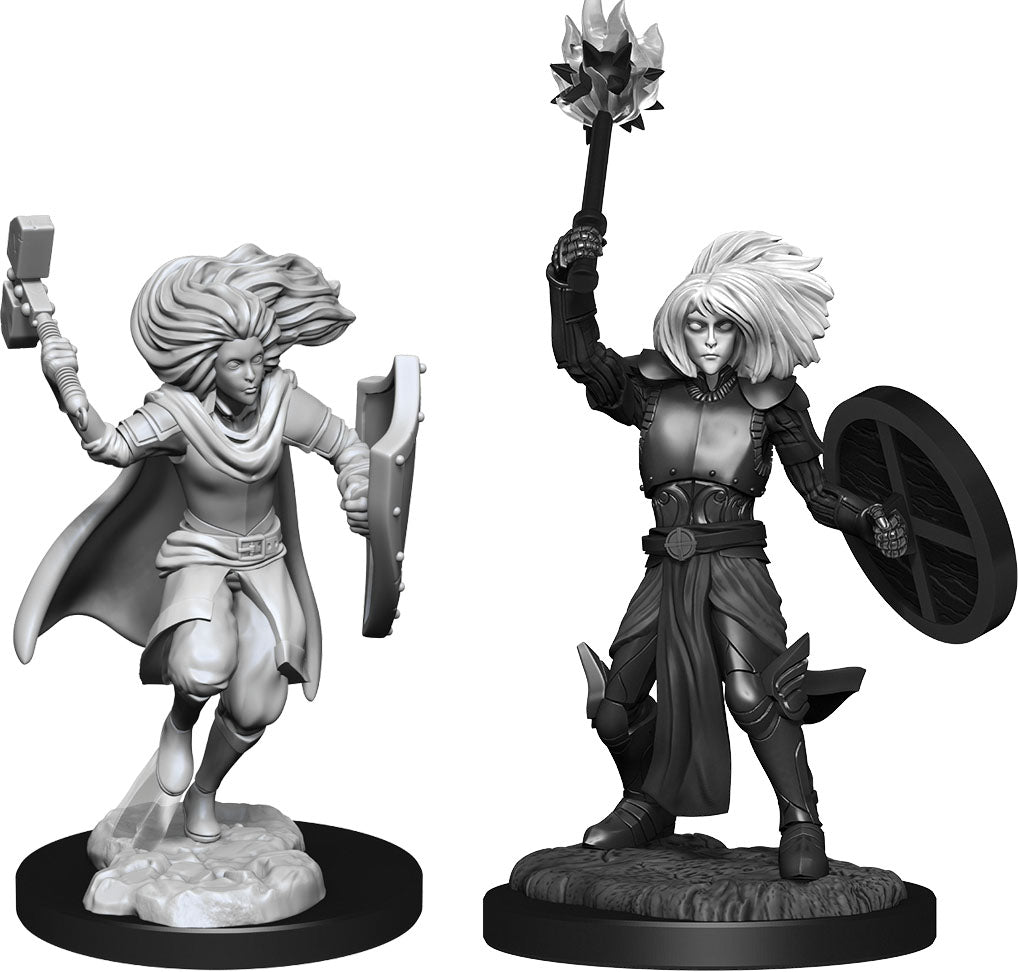 D&D Minis: W14 Changeling Clerics