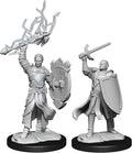 D&D Minis: W14 Half-Elf Paladin Male