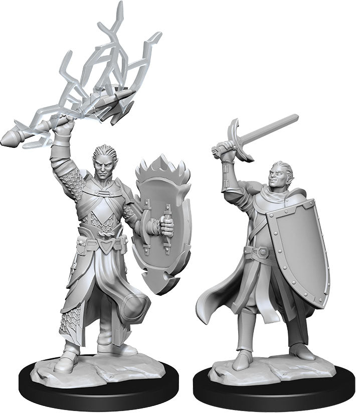 D&D Minis: W14 Half-Elf Paladin Male