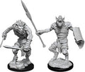 D&D Minis: W12 Gnoll & Gnoll Flesh Gnawer
