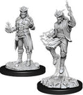 D&D Minis: W12 Male Tiefling Sorcerer
