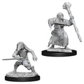 D&D Minis: W10 Kenku Adventurers