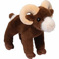 Burly Big Horn Sheep