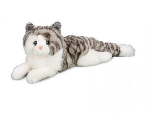 Smokey Gray Cat