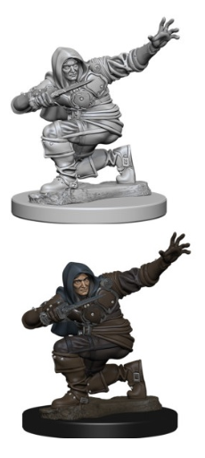 Pathfinder Minis: W1 Human Male Rogue