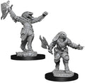 D&D Minis: W11 Female Dragonborn Fighter