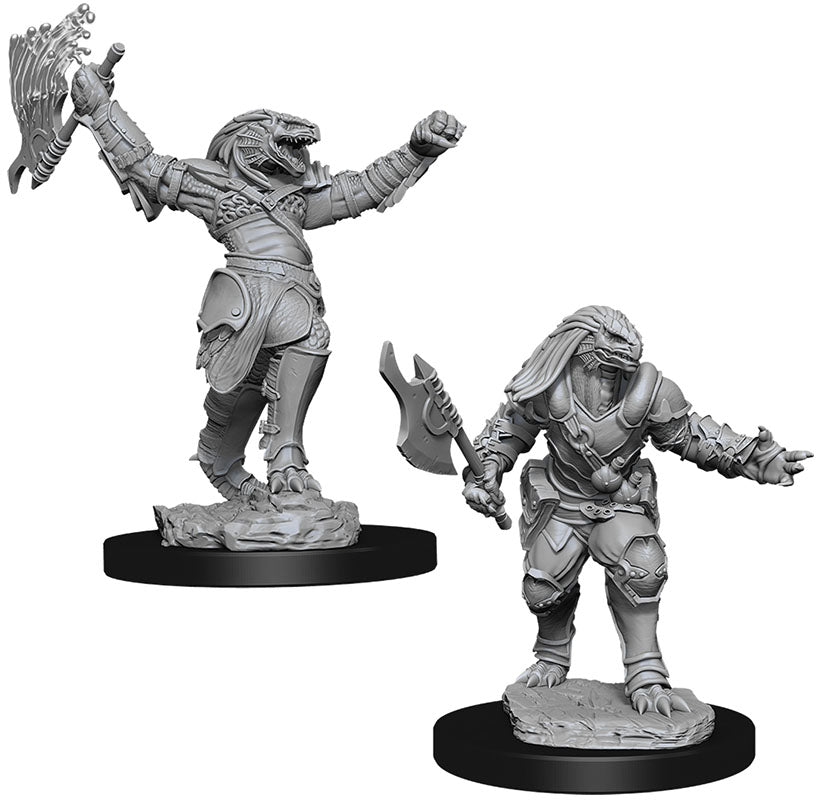 D&D Minis: W11 Female Dragonborn Fighter