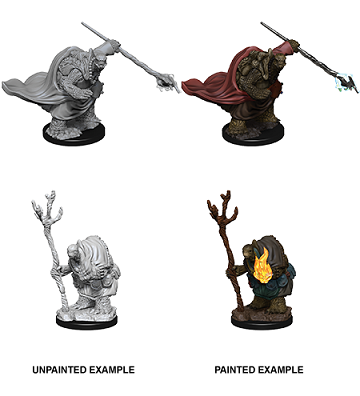 D&D Minis: W9 Tortle Adventurers