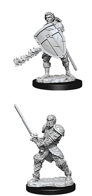 D&D Minis: W8 Male Human Fighter
