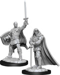 D&D Minis: W13 Human Paladin Male