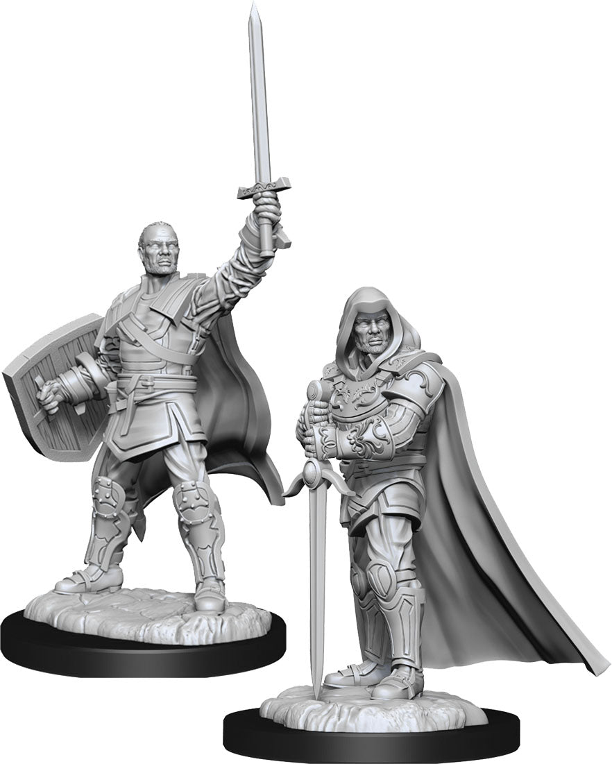 D&D Minis: W13 Human Paladin Male