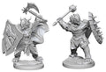 D&D Minis: W4 Dragonborn Male Paladin