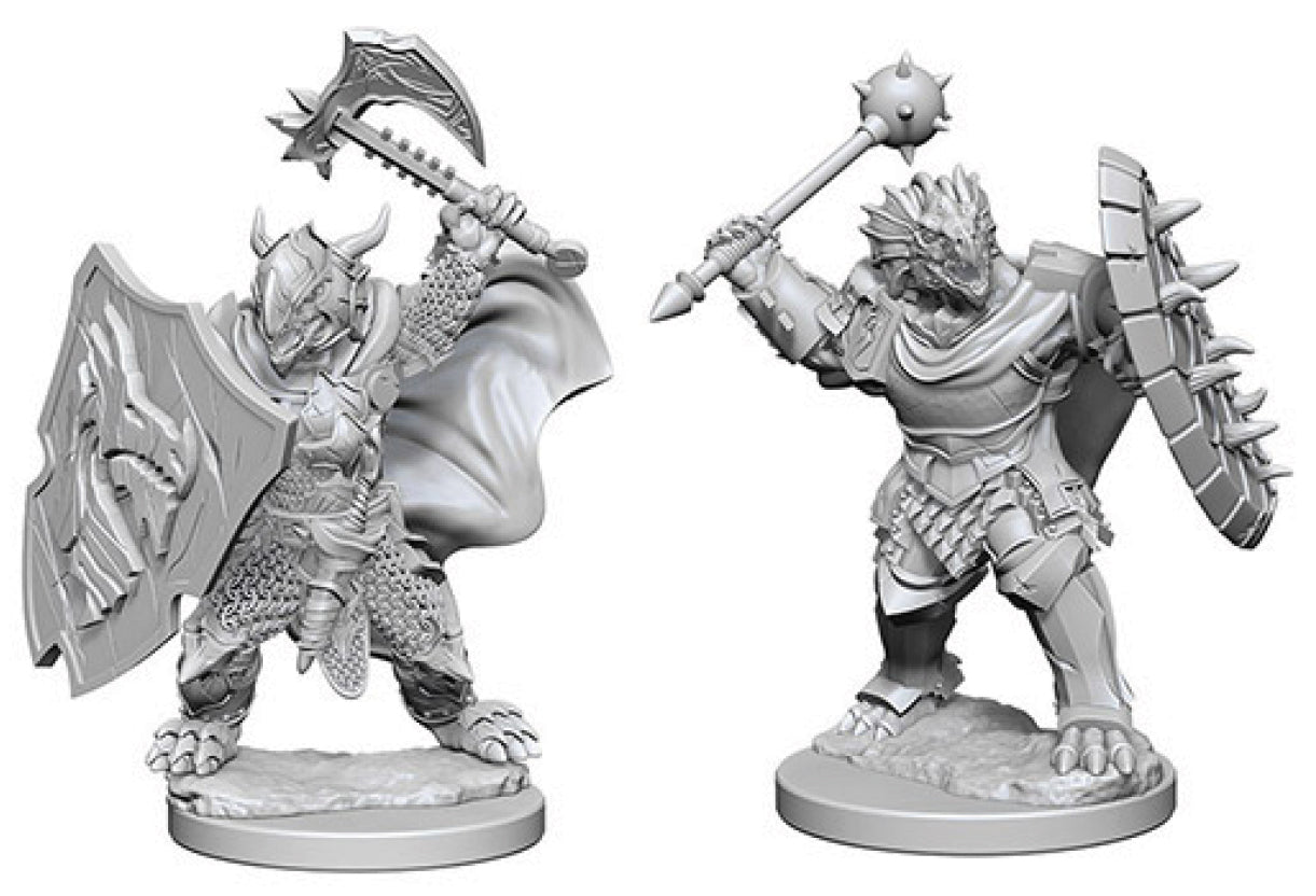 D&D Minis: W4 Dragonborn Male Paladin