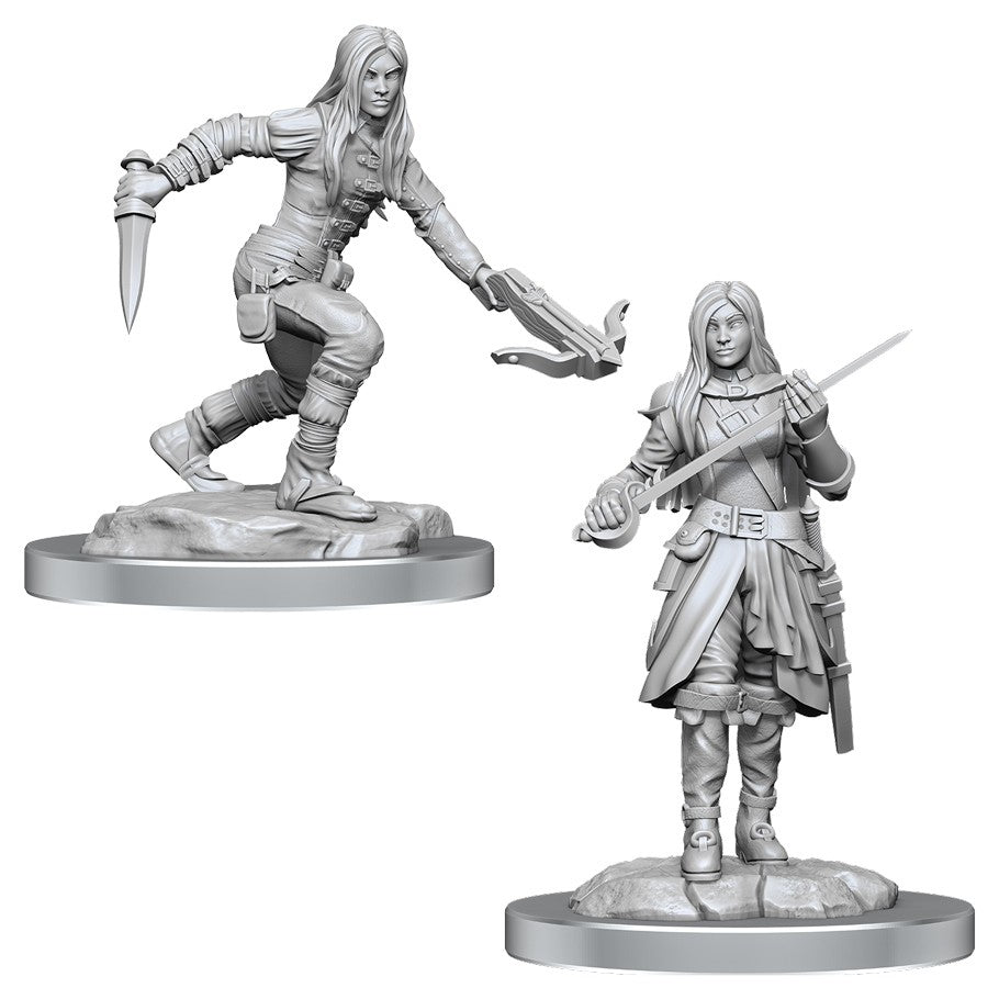 D&D Minis: W17 Half-Elf Rogue Female