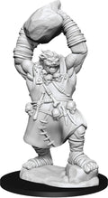 Pathfinder Minis: W11 Ogre