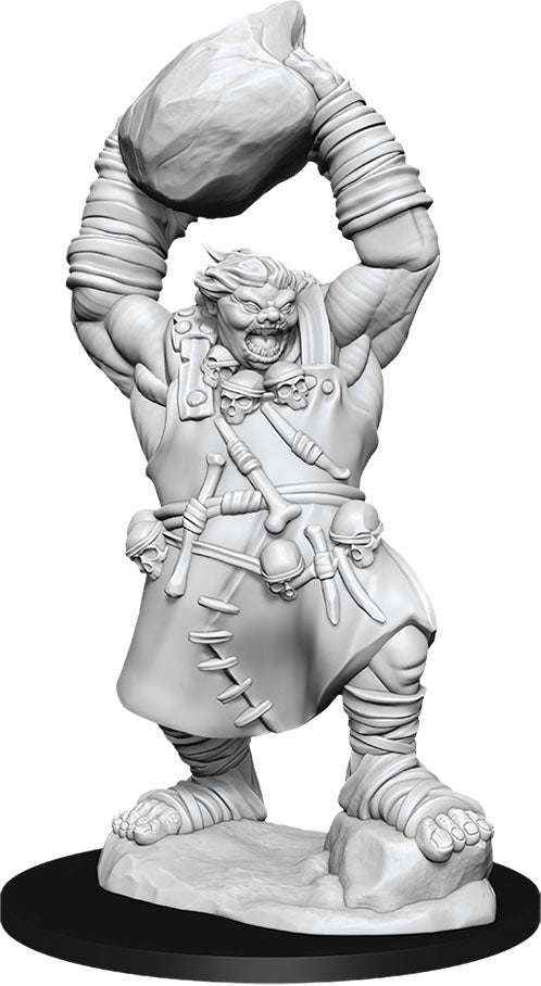 Pathfinder Minis: W11 Ogre