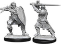D&D Minis: W14 Human Paladin Male