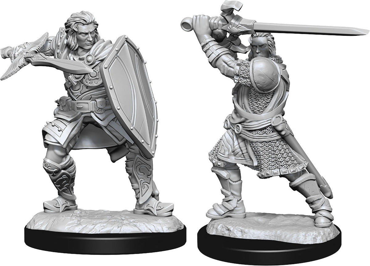D&D Minis: W14 Human Paladin Male