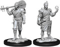 D&D Minis: W12 Male Half-Elf Bard