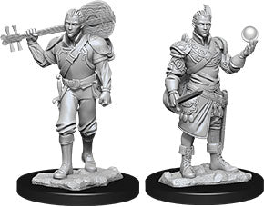 D&D Minis: W12 Male Half-Elf Bard