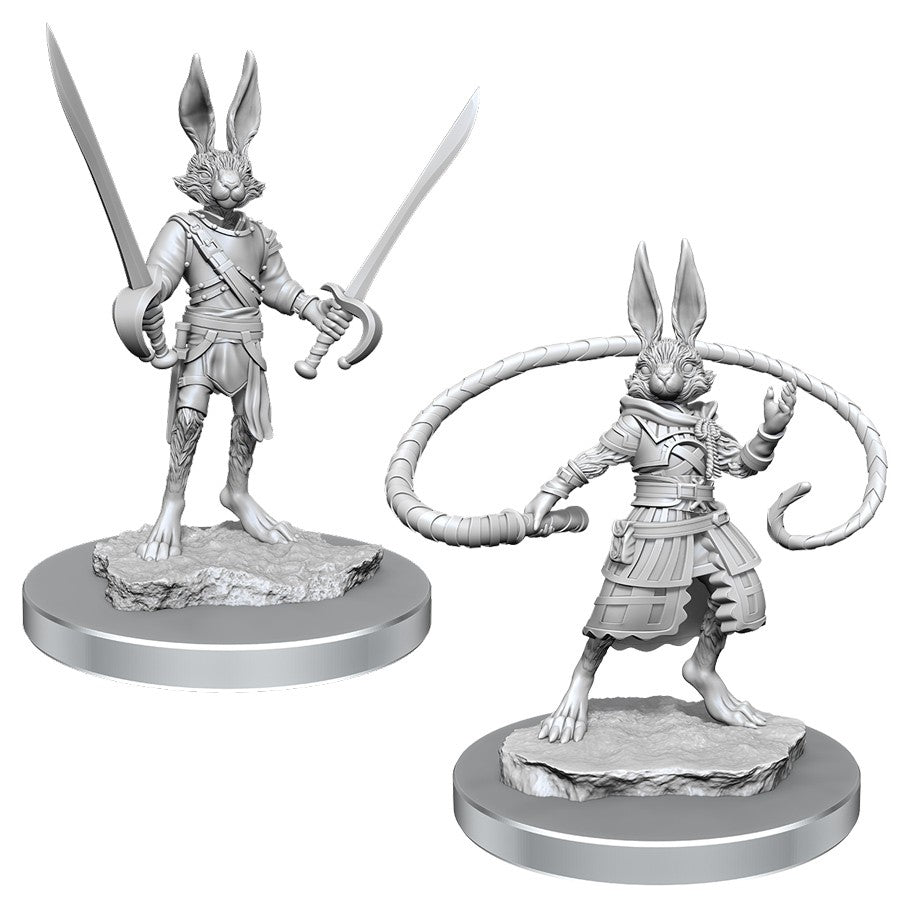 D&D Minis: W17 Harengon Rogues