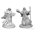 D&D Minis: W1 Female Human Wizard