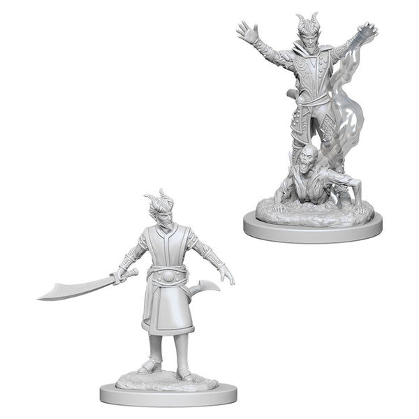 D&D Minis: W6 Male Tiefling Warlock