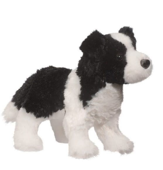 Meadow Border Collie