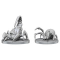 Pathfinder Minis: W26 Cave Scorpion & Hunting Spider