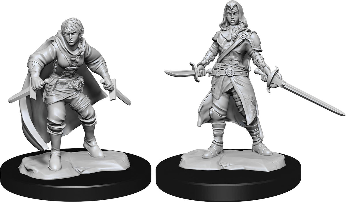 D&D Minis: W14 Female Half-Elf Rogue