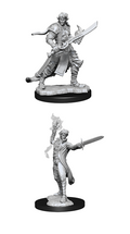 Pathfinder Minis: W11 Male Elf Magus (Magic User)