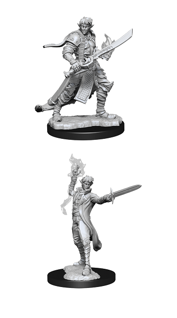 Pathfinder Minis: W11 Male Elf Magus (Magic User)