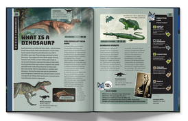 Smart Fox: Dinosaurs Book