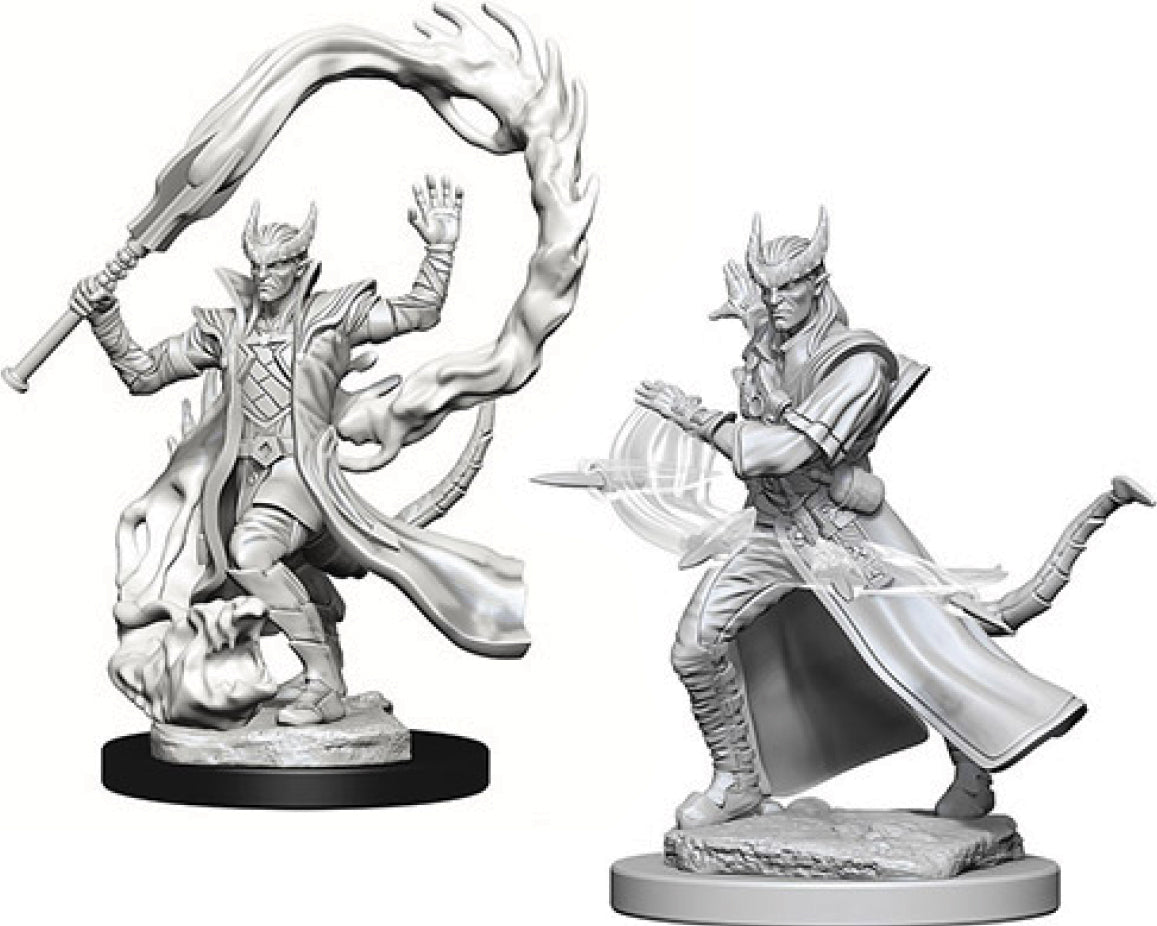 D&D Minis: W4 Male Tiefling Sorcerer