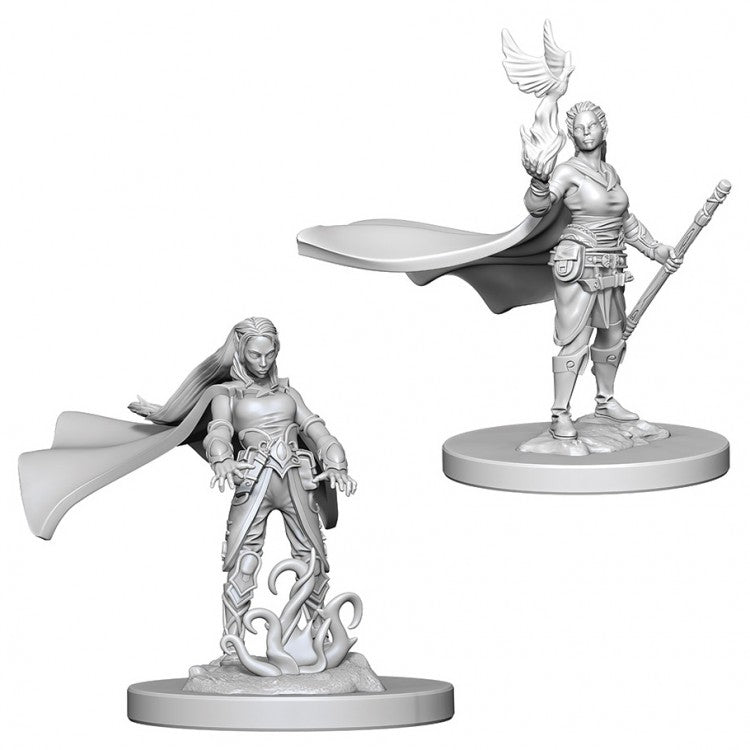 D&D Minis: W4 Elf Female Druid