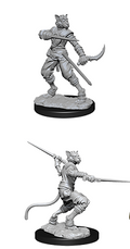 D&D Minis: W7 Male Tabaxi Rogue