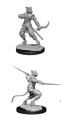 D&D Minis: W7 Male Tabaxi Rogue