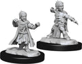 Pathfinder Minis: W15 Halfing Monk Male