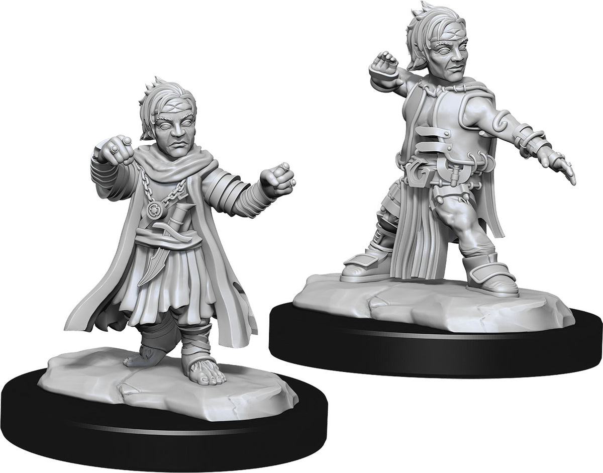Pathfinder Minis: W15 Halfing Monk Male
