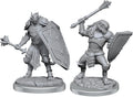 D&D Minis: W18 Dragonborn Clerics