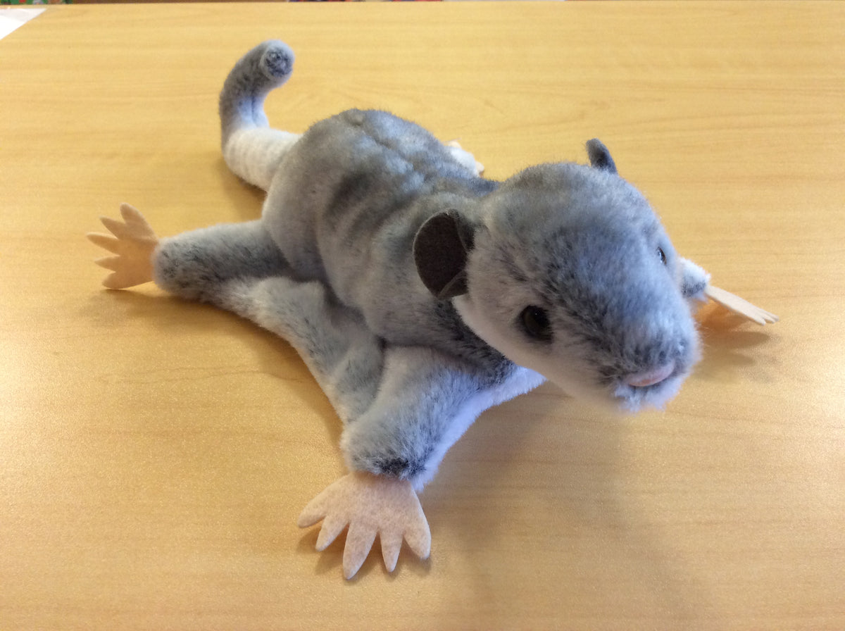 Squeek Sugar Glider