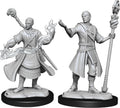D&D Minis: W14 Half-Elf Wizard Male
