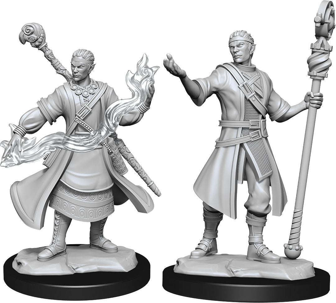 D&D Minis: W14 Half-Elf Wizard Male