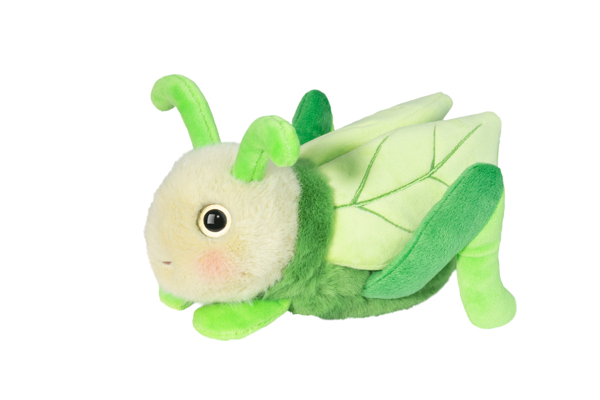 Kady Grasshopper