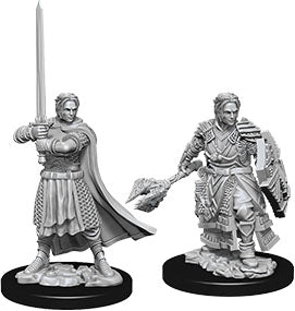 D&D Minis: W8 Male Human Cleric
