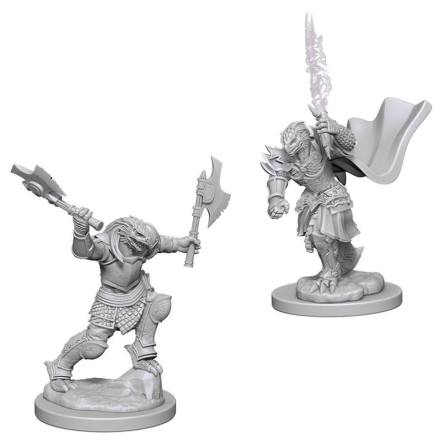 D&D Minis: W4 Dragonborn Female Fighter