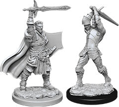 D&D Minis: W12 Male Human Paladin